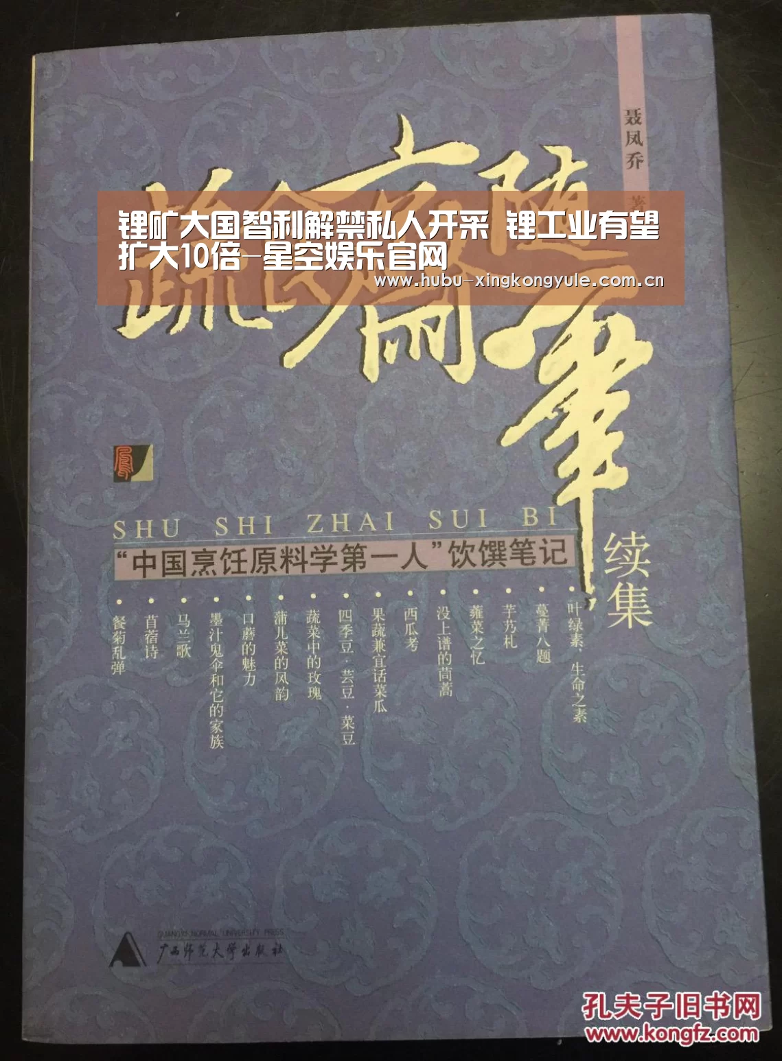 锂矿大国智利解禁私人开采 锂工业有望扩大10倍-星空娱乐官网(图1) 星空娱乐