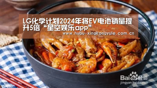 LG化学计划2024年将EV电池销量提升5倍“星空娱乐app”(图2) 星空娱乐